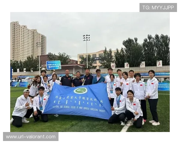 慢投垒球赛事年龄跨度显著，群众体育与竞技体育共享场馆成趋势